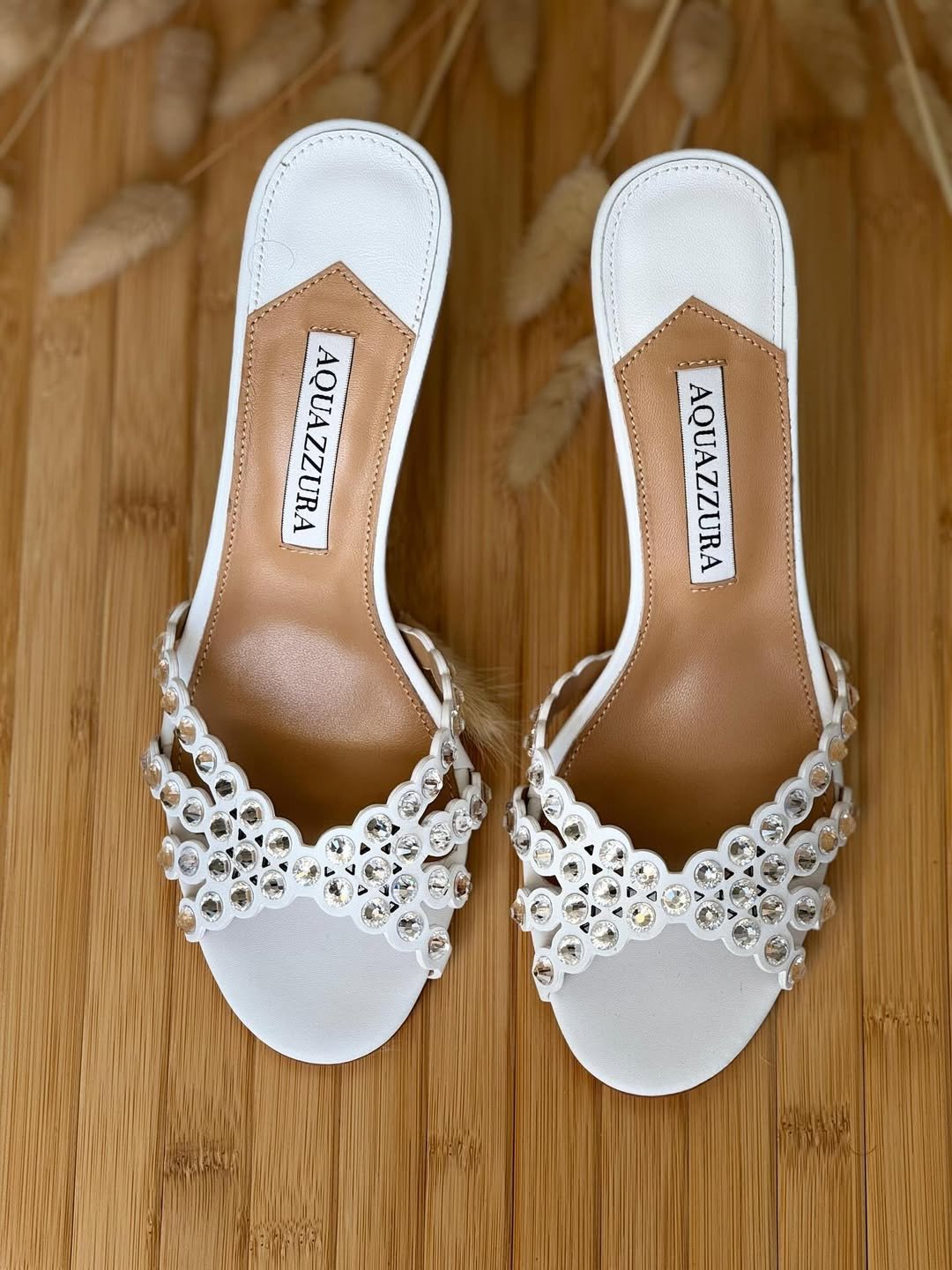 557352857_17964279587989057_4442409682887999066_n