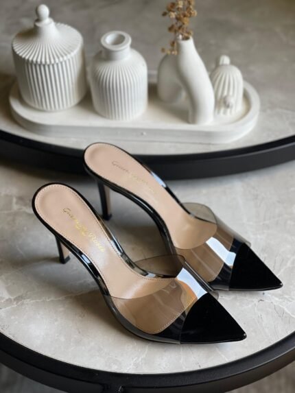 Gianvito Rossi Elle 105 Plexi Mules In Black